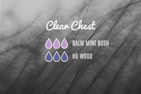 Diffuser Blend with Balm Mint Bush Essential Oil by Loving Essential Oils | Clear Chest Blend with..