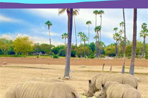 San Diego Safari Adventure - Fit Living Magazine - Female Fitness News