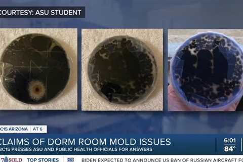 ABC15 pushes for answers following claims of mold inside ASU dorms