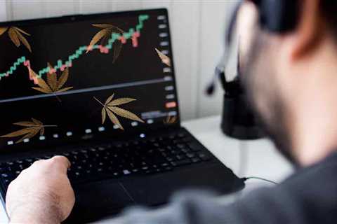 Top Marijuana Stocks To Buy In 2022? 3 To Watch This Month