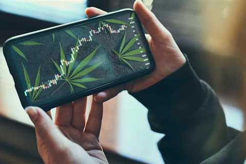 Best Marijuana Stocks To Watch This Week? 3 Canadian Pot Stocks For Your List Right Now