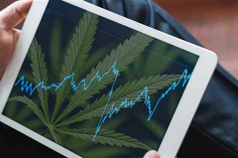 Top Ancillary Cannabis Stocks To Buy? 2 Giving Cannabis A Presence Online