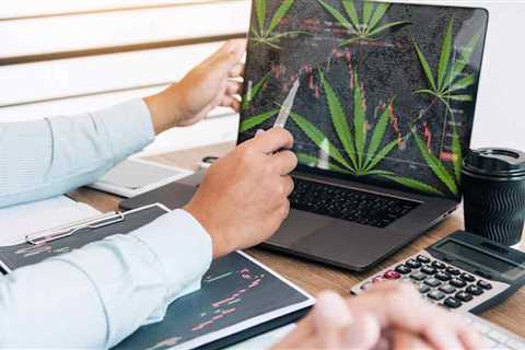 Top Marijuana Stocks To Buy In 2022? 5 For Your Watchlist Before April
