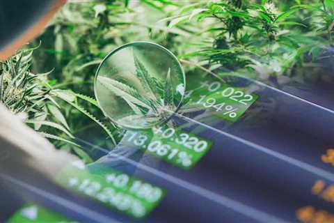 Ancillary Marijuana Stocks For Your Watchlist Before April