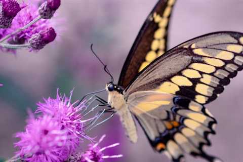 The magic moment in meditation