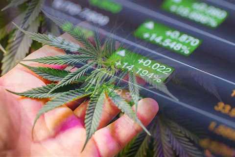 Top Ancillary Marijuana Stocks To Buy Before April? 3 To Add To Your List Right Now