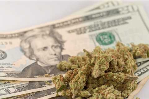 Washington Officials Step Up Push For Federal Marijuana Banking Reform Following String Of Deadly..