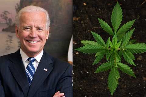 Biden Finally Grants Relief To People With Federal Marijuana And Drug Convictions After More Than A ..