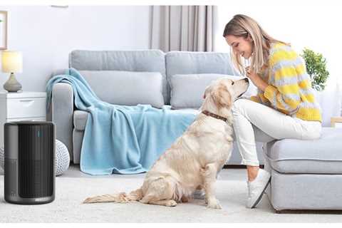 Dreo’s New Air Purifier Banishes Pet Hair & Dander Quickly and Efficiently