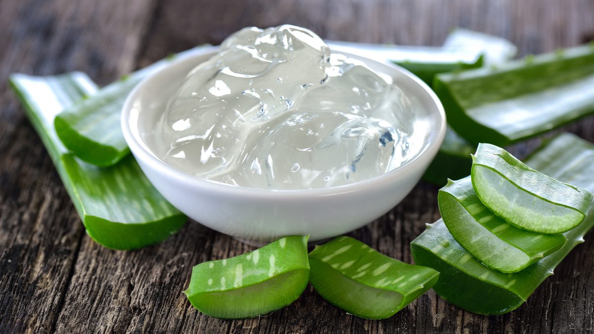 Aloe Is Nature's Super Plant — Learn How To Use It for Hair, Skin, Cellulite, and More