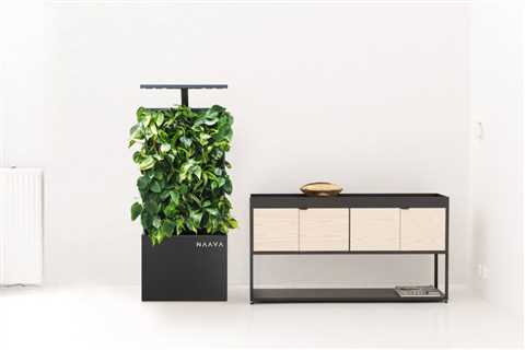 Clean the air in your home with green walls from Naava
