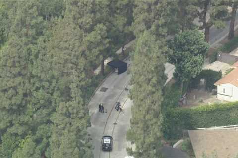 Person dies after falling from tree in Beverly Hills neighborhood