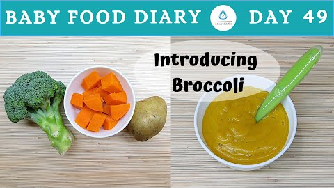 Baby Food | Baby Food Diary | Day 49 | Broccoli Baby Food Recipe | How To Prepare Broccoli For Baby