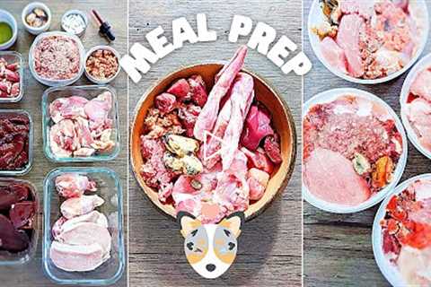 How I Meal Prep Raw Food For My Dog (Full Week)