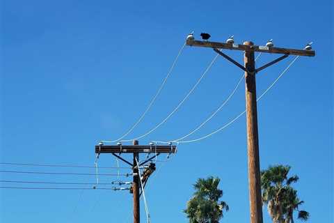 Southern California Edison Addresses Beverly Hills Power Outages