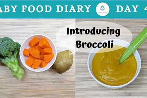 Baby Food | Baby Food Diary | Day 49 | Broccoli Baby Food Recipe | How To Prepare Broccoli For Baby