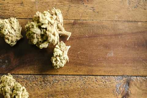 Why Indica Strains Might Be The Perfect Strain For You In Long Beach