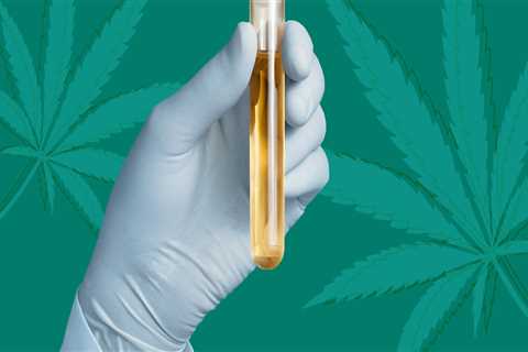 Does cbd create a positive drug test?