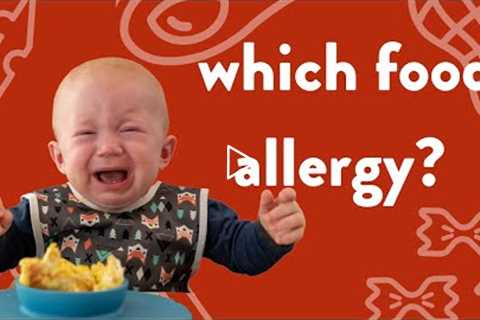 Peanut, Egg, and Milk: Baby Food Allergy Research Explained