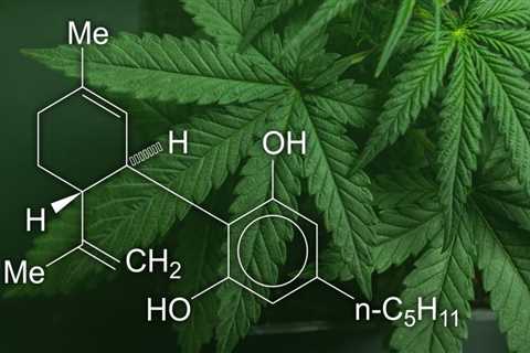 What is CBD?