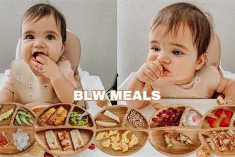 Easy Baby Led Weaning Meals | My Baby''''s Favorite Foods For Breakfast, Lunch & Dinner