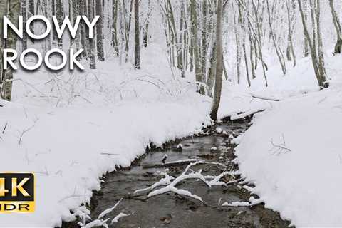 4K HDR Snowy Brook – Relaxing River Sounds – Peaceful Snow & Forest Stream –..