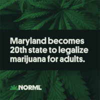 No Green Wave This Time, But Two More States Legalize Adult Use Cannabis