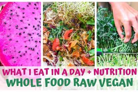 WHAT I EAT IN A DAY • WITH NUTRITION TRACKING • RAW FOOD VEGAN