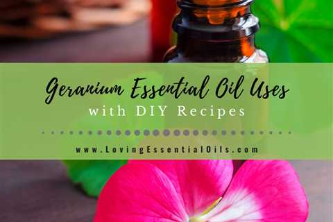 Geranium Essential Oil Recipes, Uses and Benefits Spotlight