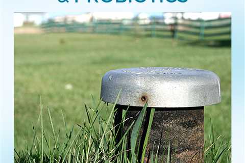 Septic Tanks & Probiotics