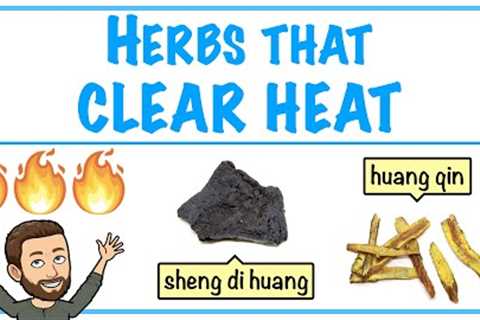 Herbs that Clear Heat - Introduction to Chinese Herbology in TCM
