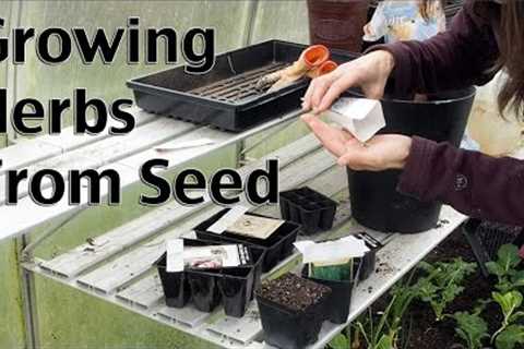 Starting Herbs from Seeds