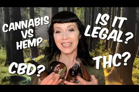 Understanding Cannabis vs. Hemp in Skincare, Beauty, and Healthcare Products
