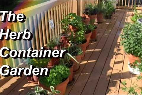 More Tips for Your Herb Container Garden! Basil, Oregano, Mint, Cilantro, Tarragon