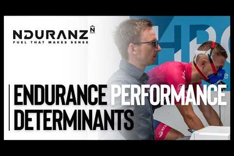 What are the determinants of endurance performance? | Endurance sports nutrition