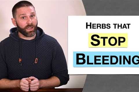 🌿 Herbology 2 Review - Herbs that Stop Bleeding (Extended Live Lecture)