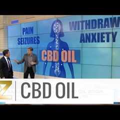 How CBD Oil Impacts the Body