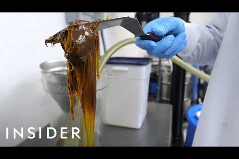 How CBD Oil Is Made