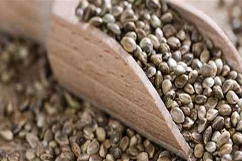 The Benefits of Hemp Seeds: A Comprehensive Guide