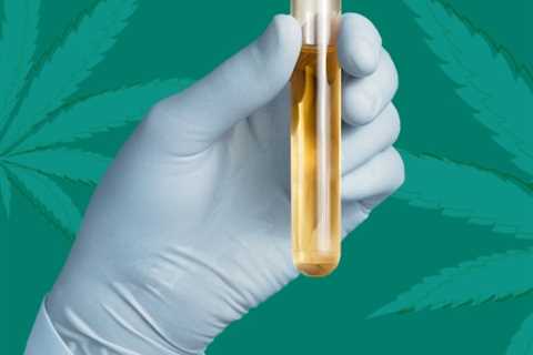 The Difference Between Hemp Oil and CBD Oil