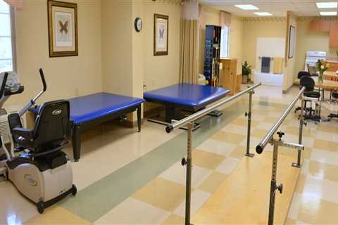 Long Term Care Facility Services Overview