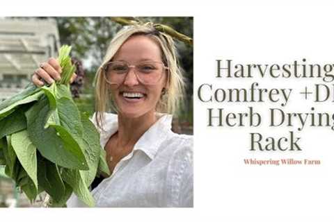 Harvesting Comfrey + DIY Herb Drying Rack