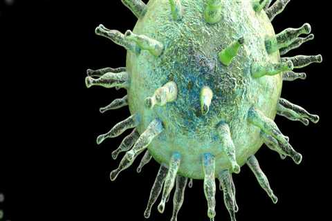 Exploring the Epstein-Barr Virus