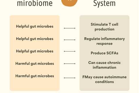 Gut Microbiome Balance and the Immune System