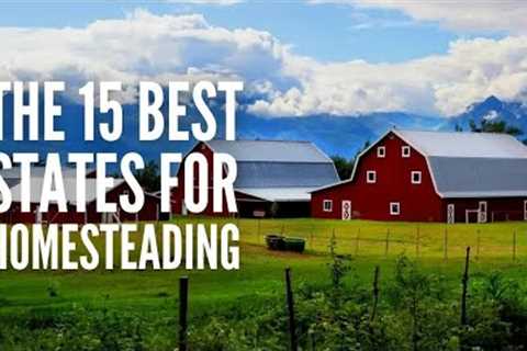 The 15 Best States for Homesteading in 2023