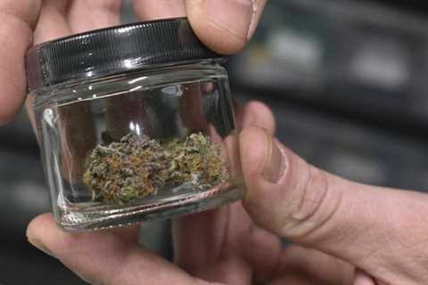 Minnesota Senate to vote on legal marijuana bill Friday