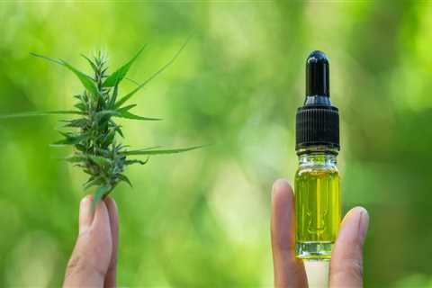 The Benefits of Taking CBD Oil Everyday: An Expert's Perspective