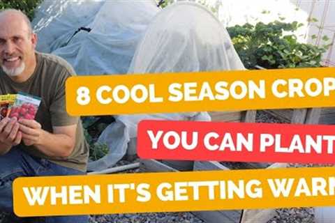 8 Cool Season Crops you can still plant when it''s warm