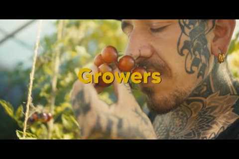 Growers | A Growing Revolution | Short Documentary