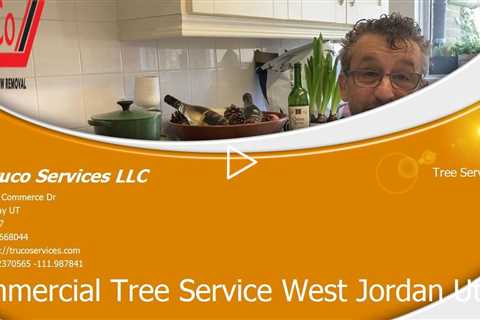 Tree-Services-Magna-Utah